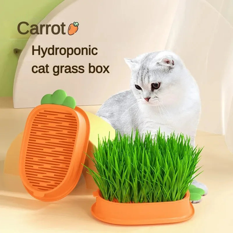 "Cat Grass Hydroponic Planter for Healthy Growth & Digestion"
